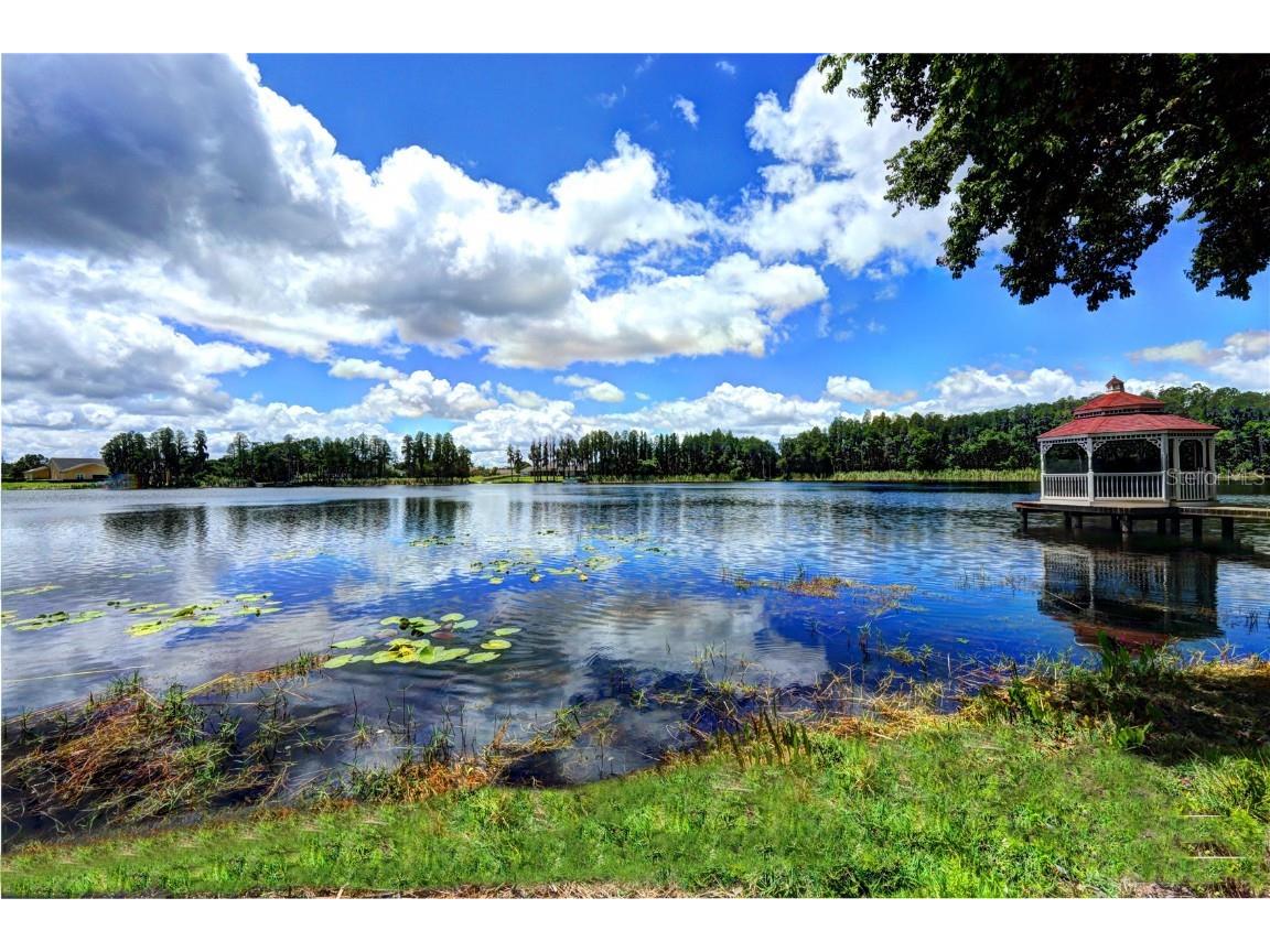 117 Bellamere Palms Court Lutz FL 33549 TB8429681 image39