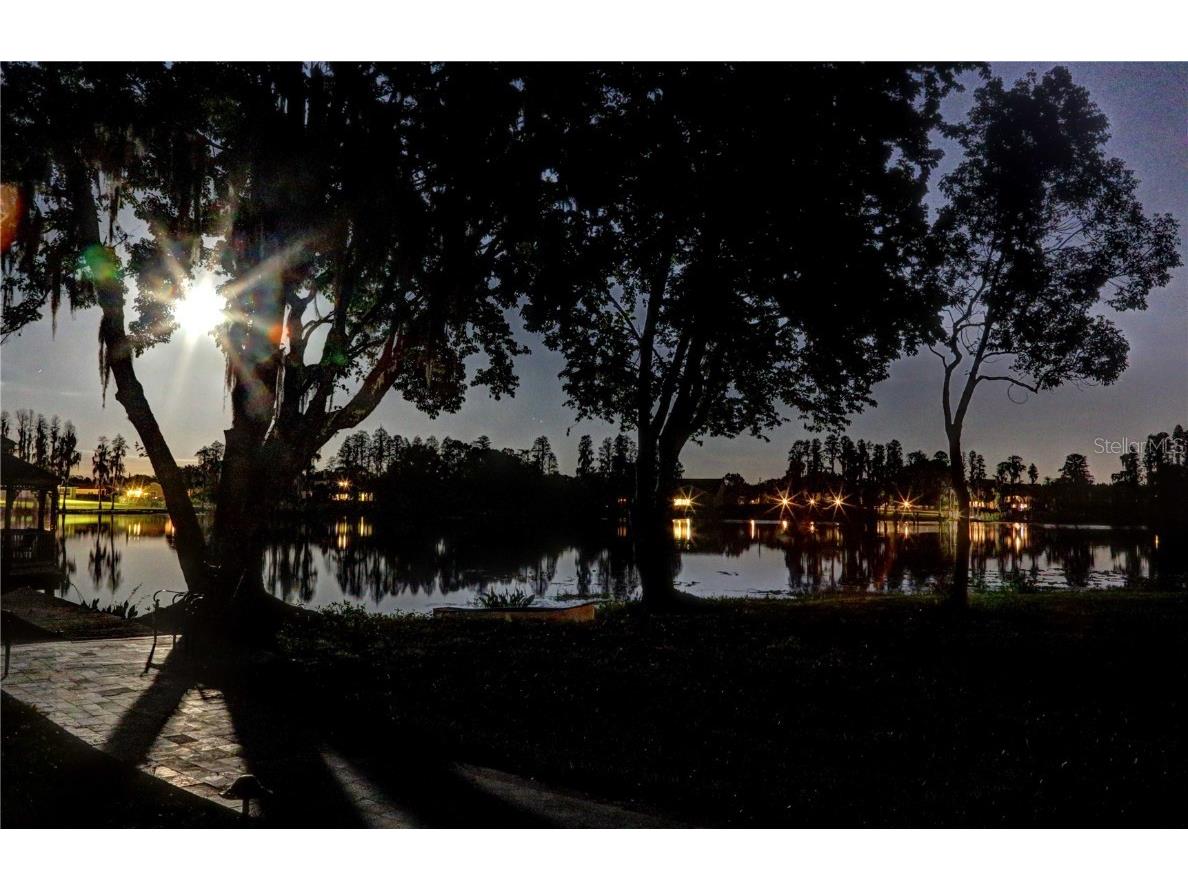 117 Bellamere Palms Court Lutz FL 33549 TB8429681 image42