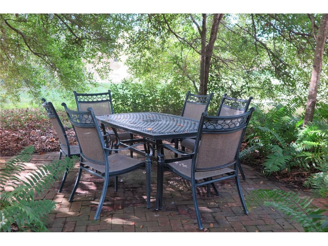 117 Bellamere Palms Court Lutz FL 33549 TB8429681 image43