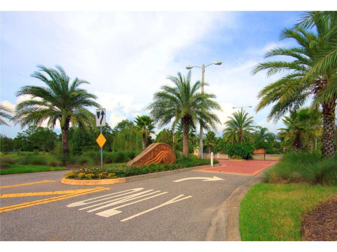 117 Bellamere Palms Court Lutz FL 33549 TB8429681 image48