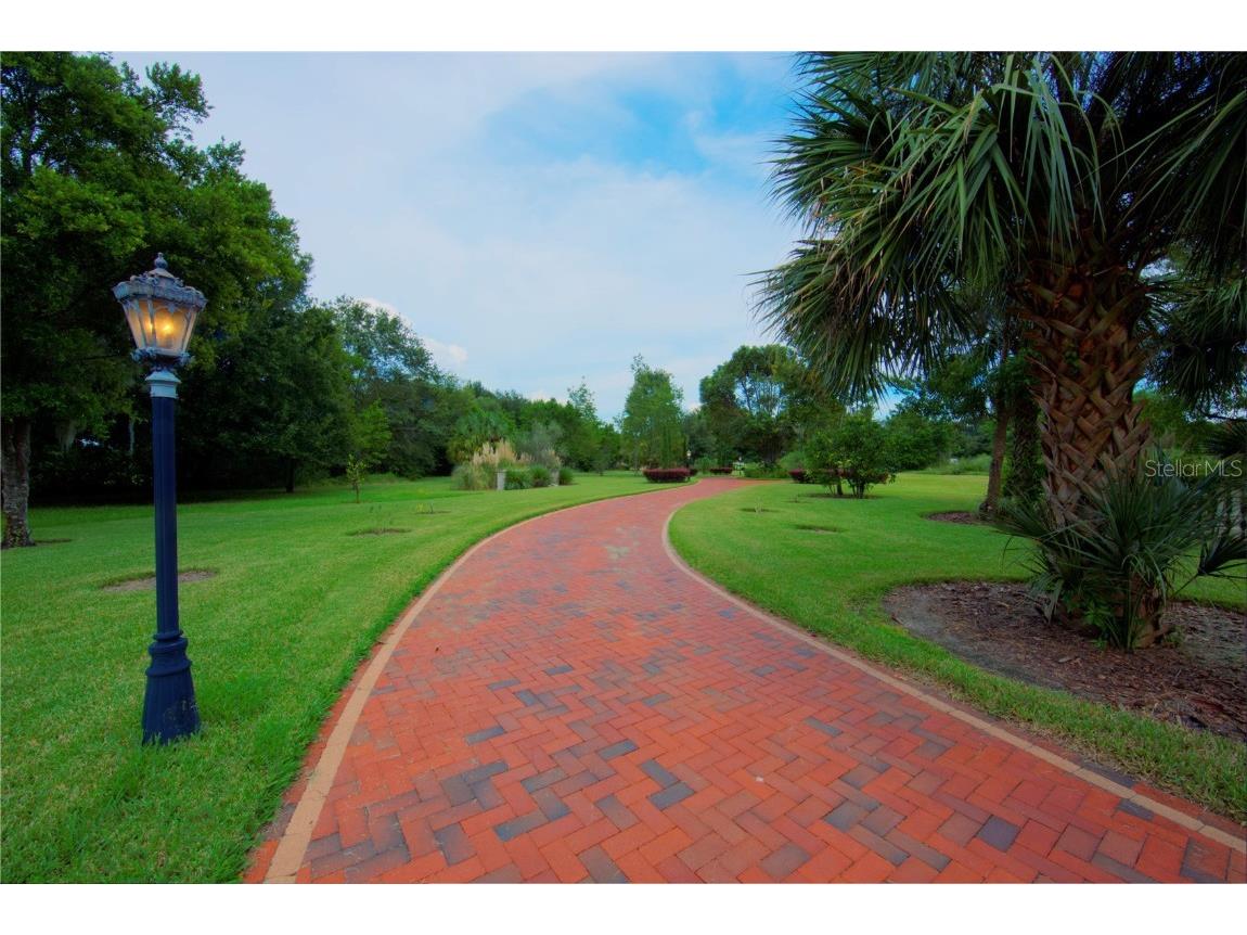 117 Bellamere Palms Court Lutz FL 33549 TB8429681 image50