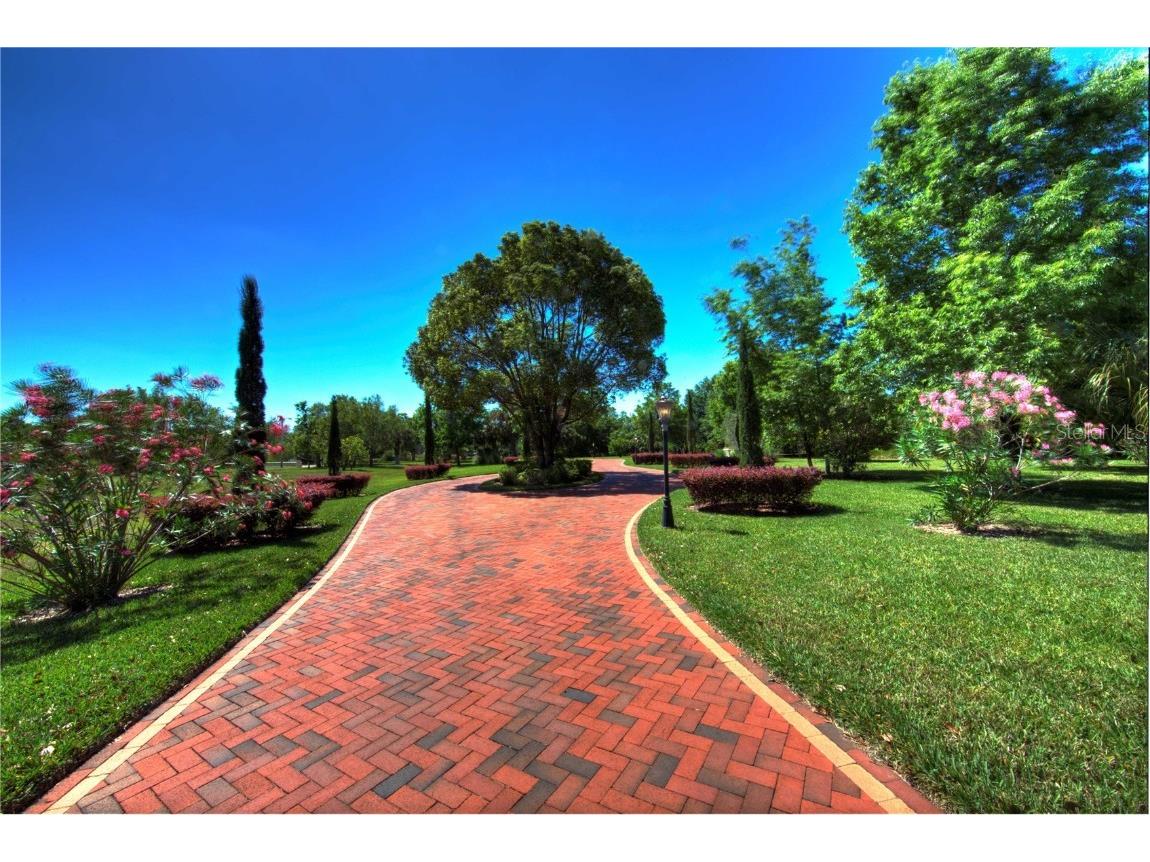 117 Bellamere Palms Court Lutz FL 33549 TB8429681 image51