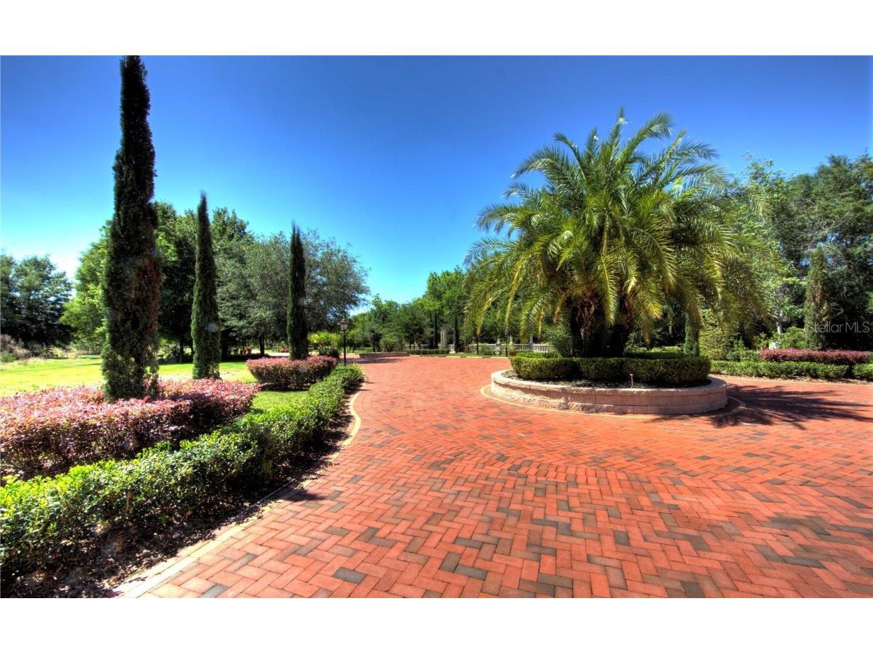 117 Bellamere Palms Court Lutz FL 33549 TB8429681 image52