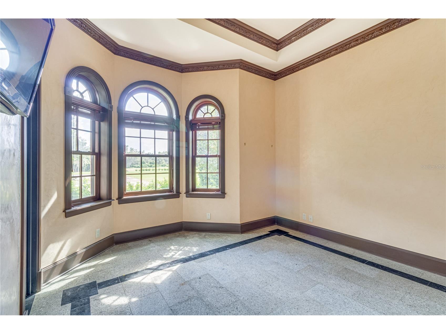 117 Bellamere Palms Court Lutz FL 33549 TB8429681 image61