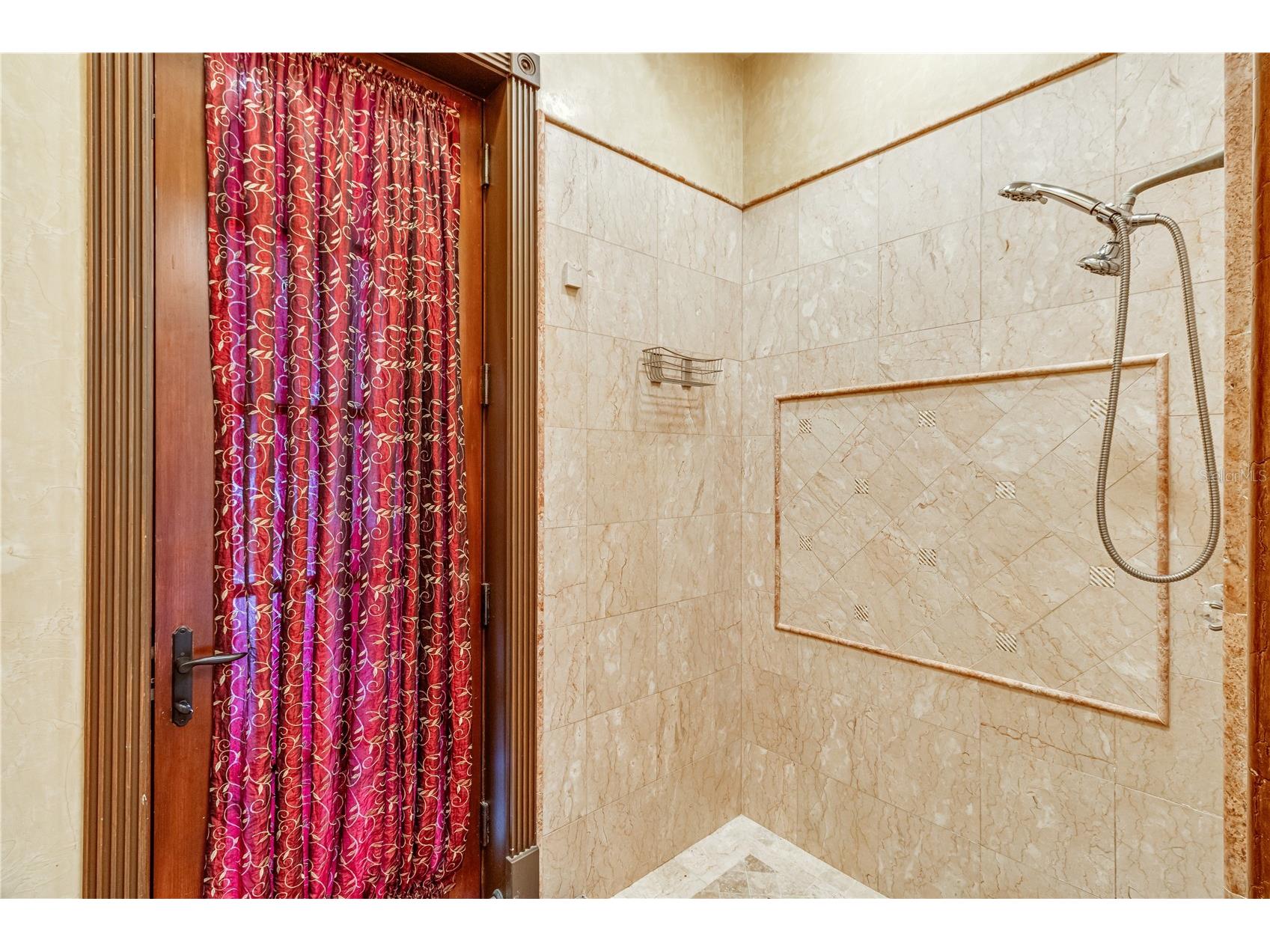 117 Bellamere Palms Court Lutz FL 33549 TB8429681 image64