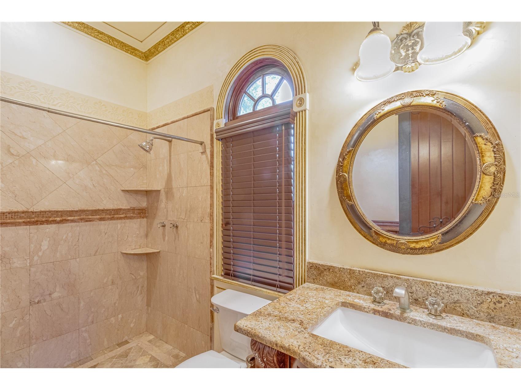 117 Bellamere Palms Court Lutz FL 33549 TB8429681 image68