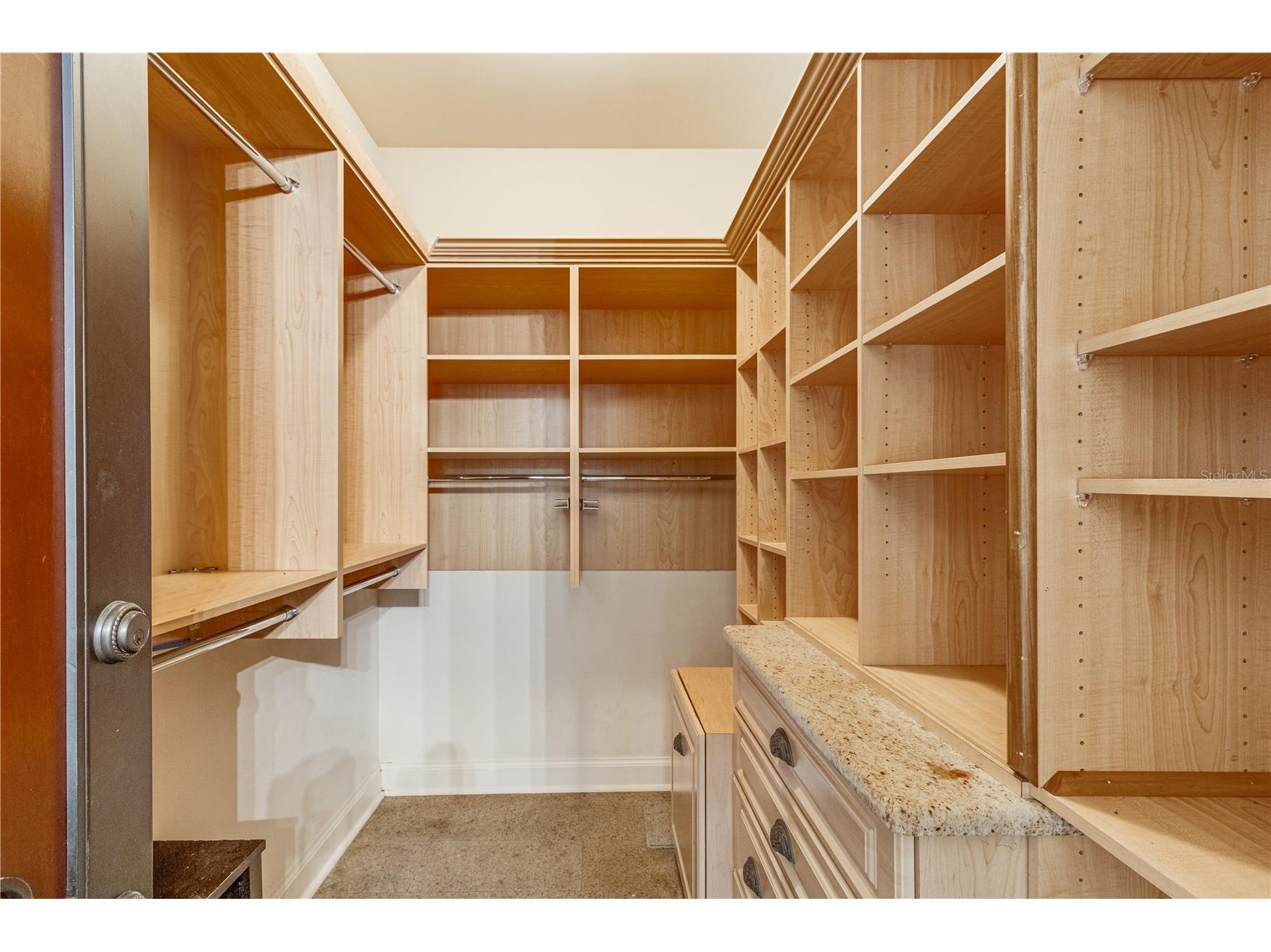 117 Bellamere Palms Court Lutz FL 33549 TB8429681 image69