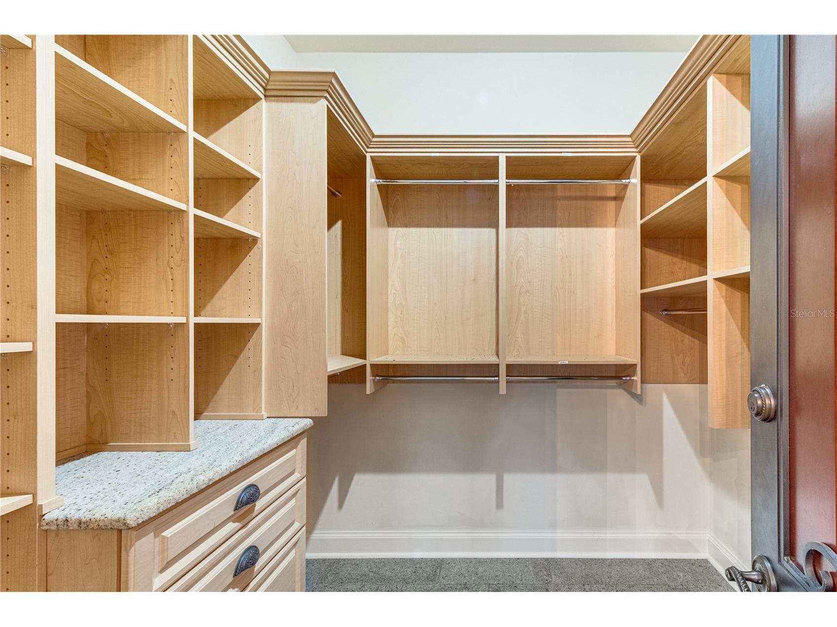 117 Bellamere Palms Court Lutz FL 33549 TB8429681 image77