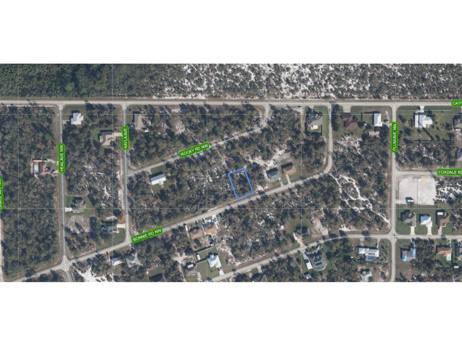 117 Bonnie Road NW Lake Placid FL 33852 A4697268 image2