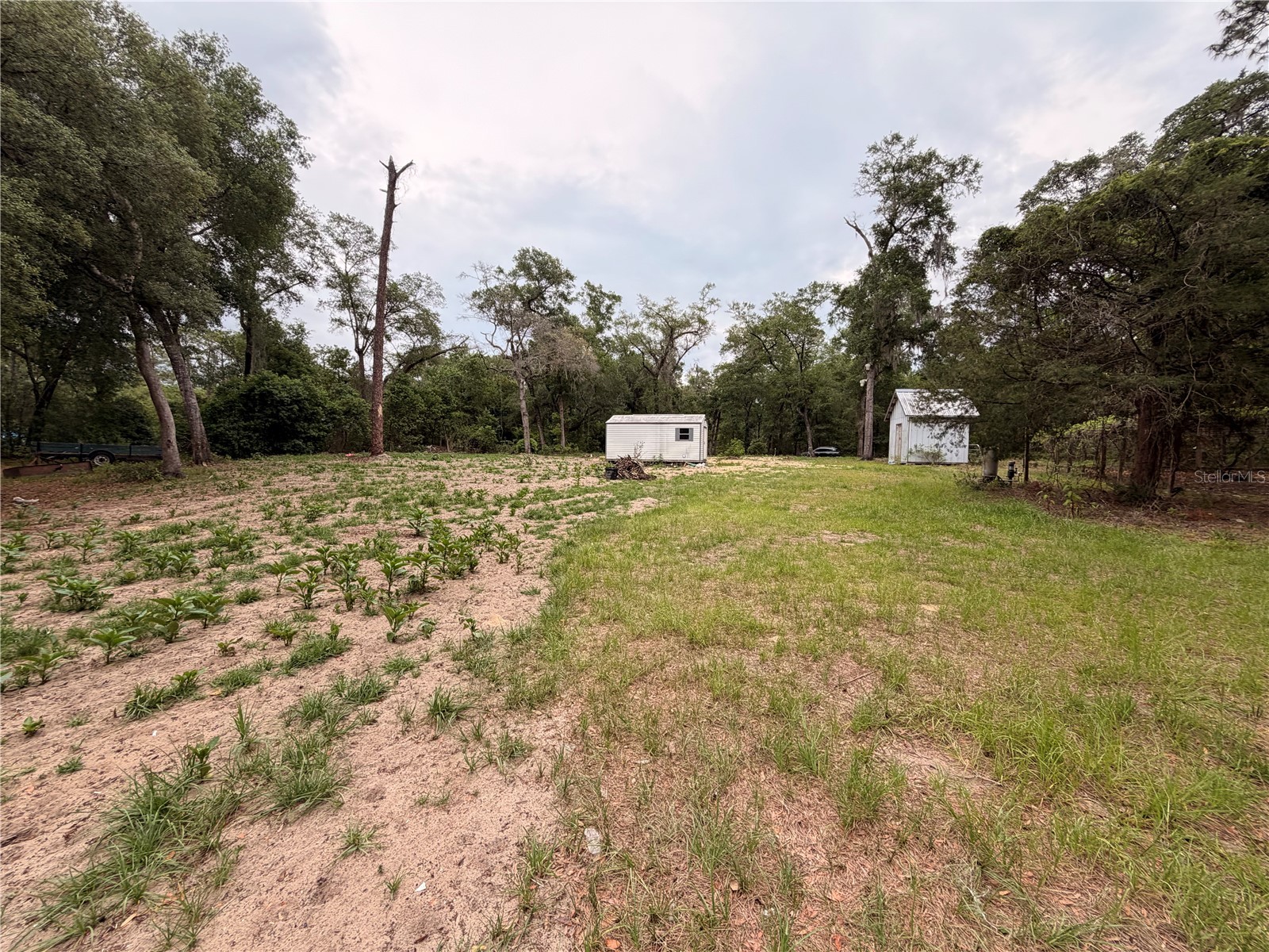 117 Breezy Oak Lane Fort Mc Coy FL 32134 GC540221 image10