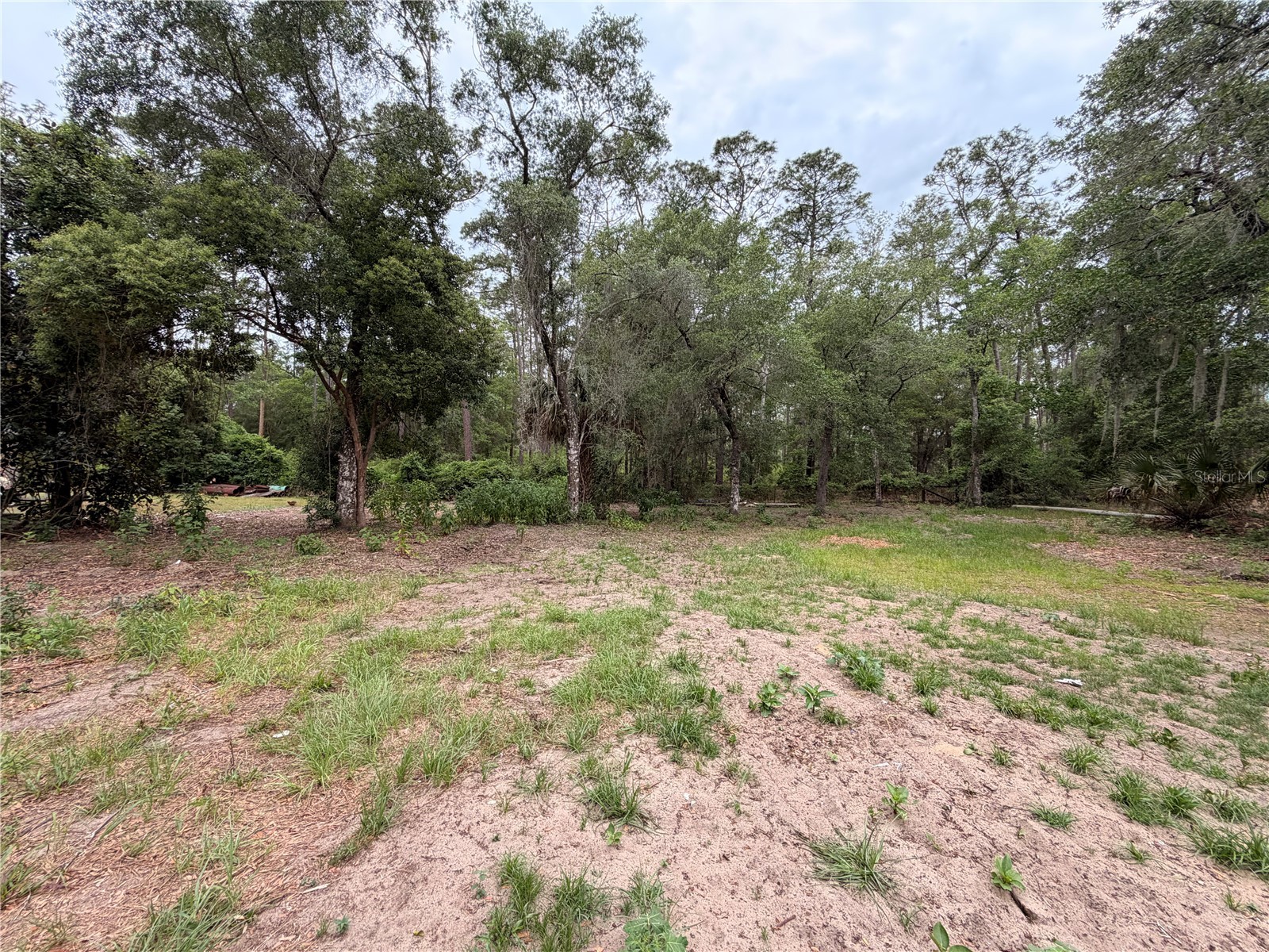 117 Breezy Oak Lane Fort Mc Coy FL 32134 GC540221 image11