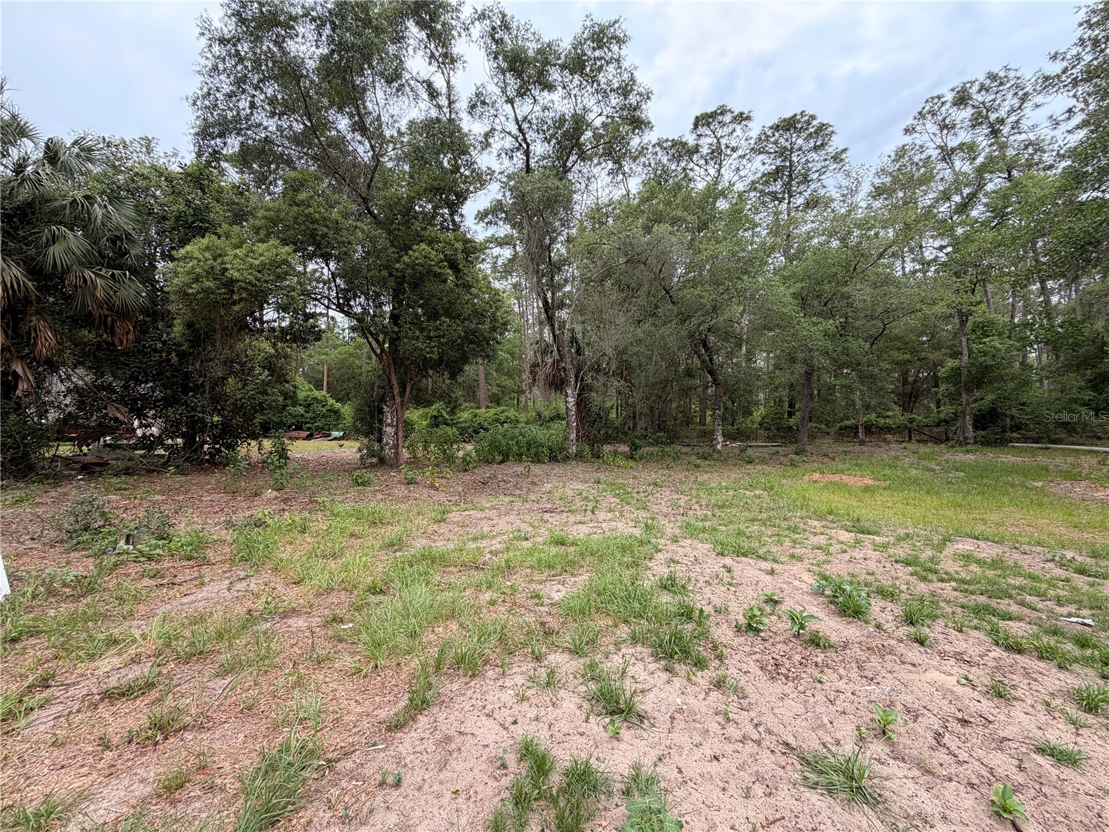 117 Breezy Oak Lane Fort Mc Coy FL 32134 GC540221 image12