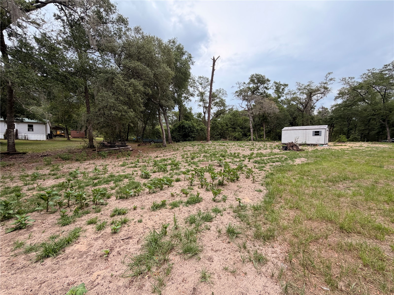 117 Breezy Oak Lane Fort Mc Coy FL 32134 GC540221 image13