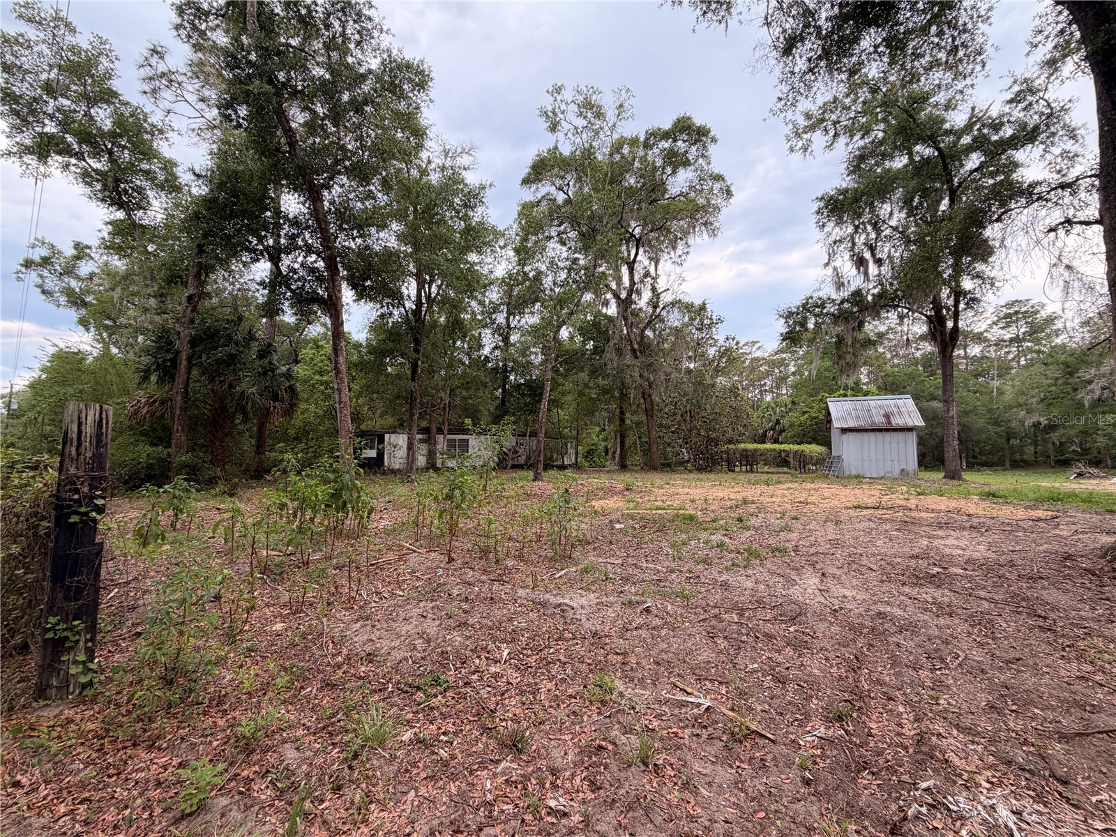117 Breezy Oak Lane Fort Mc Coy FL 32134 GC540221 image3