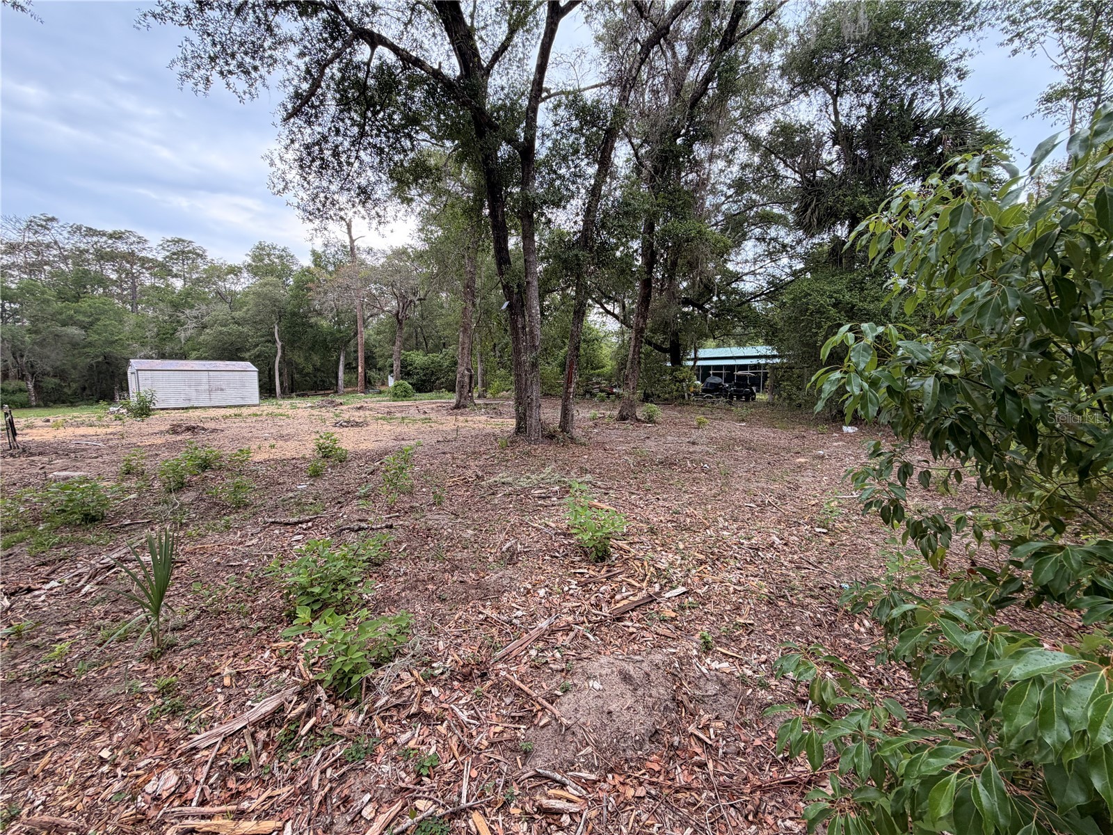 117 Breezy Oak Lane Fort Mc Coy FL 32134 GC540221 image4