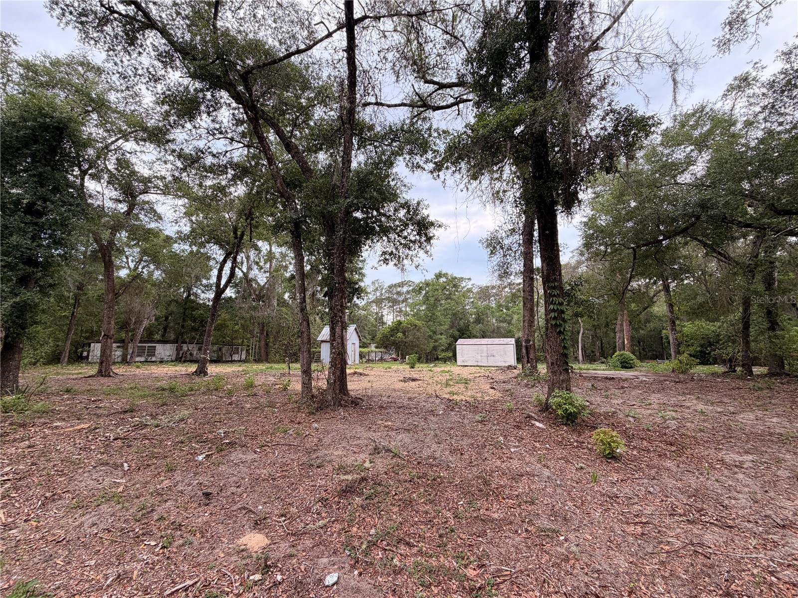 117 Breezy Oak Lane Fort Mc Coy FL 32134 GC540221 image5