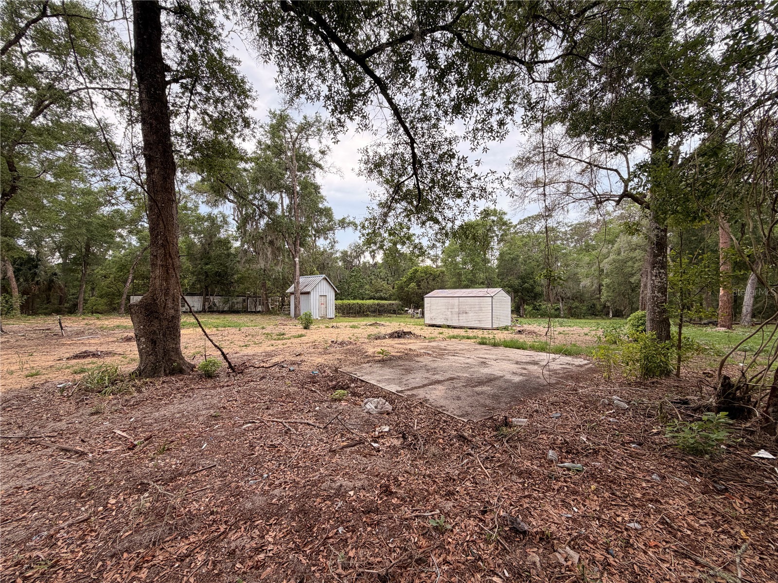 117 Breezy Oak Lane Fort Mc Coy FL 32134 GC540221 image6