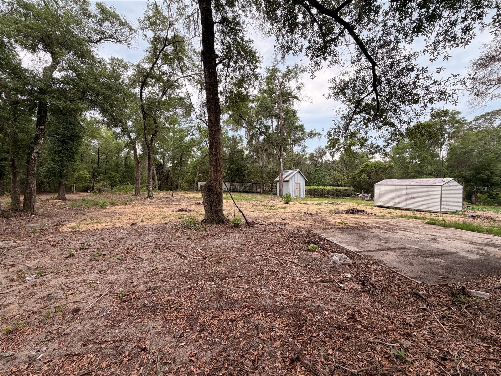 117 Breezy Oak Lane Fort Mc Coy FL 32134 GC540221 image7