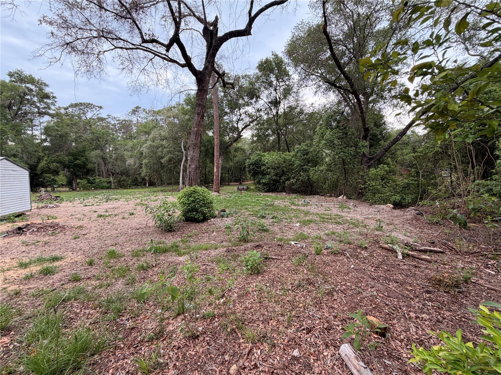 117 Breezy Oak Lane Fort Mc Coy FL 32134 GC540221 image8