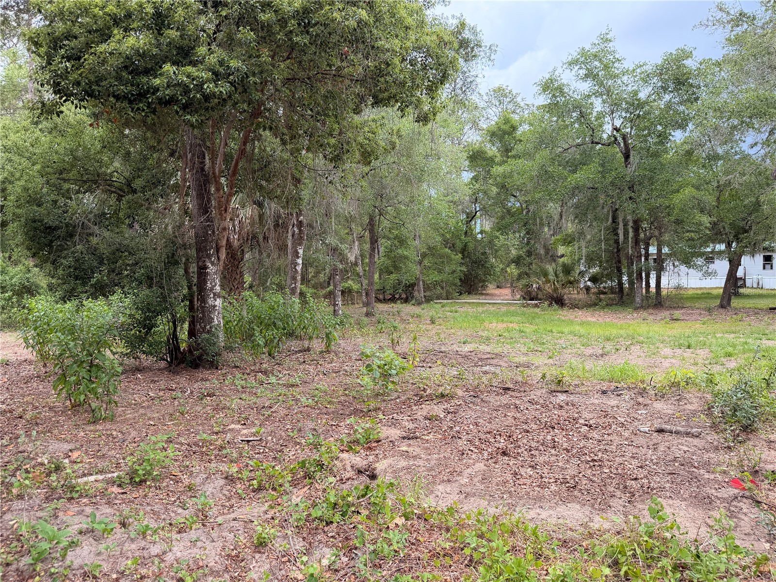 117 Breezy Oak Lane Fort Mc Coy FL 32134 GC540221 image9