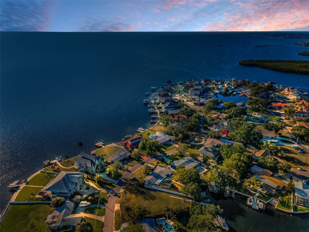 117 Carlyle Drive Palm Harbor FL 34683 TB8377220 image1