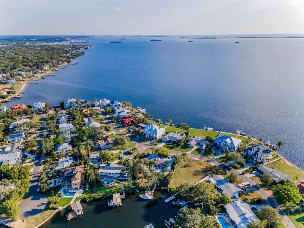 117 Carlyle Drive Palm Harbor FL 34683 TB8377220 image10