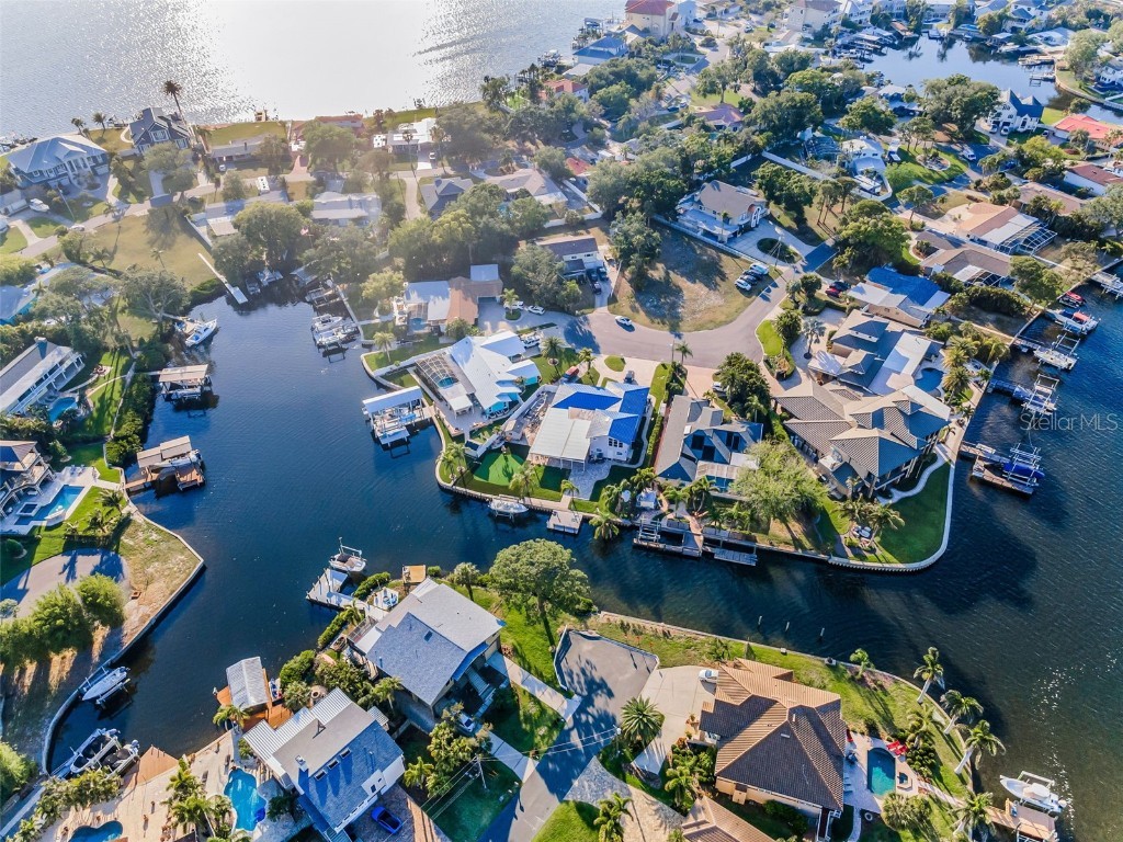 117 Carlyle Drive Palm Harbor FL 34683 TB8377220 image13