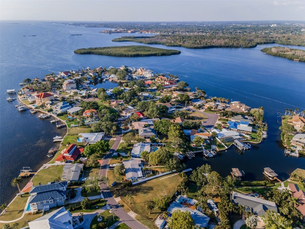 117 Carlyle Drive Palm Harbor FL 34683 TB8377220 image18