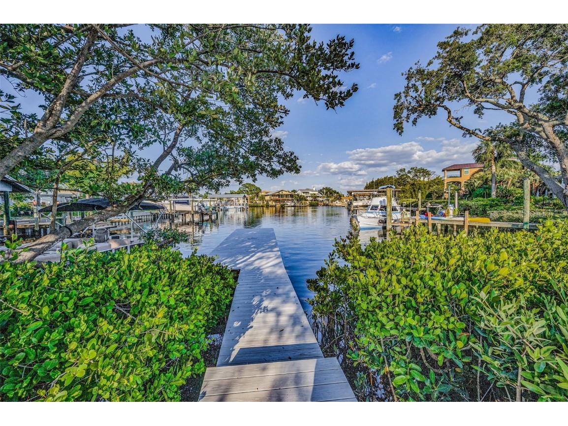 117 Carlyle Drive Palm Harbor FL 34683 TB8377220 image21