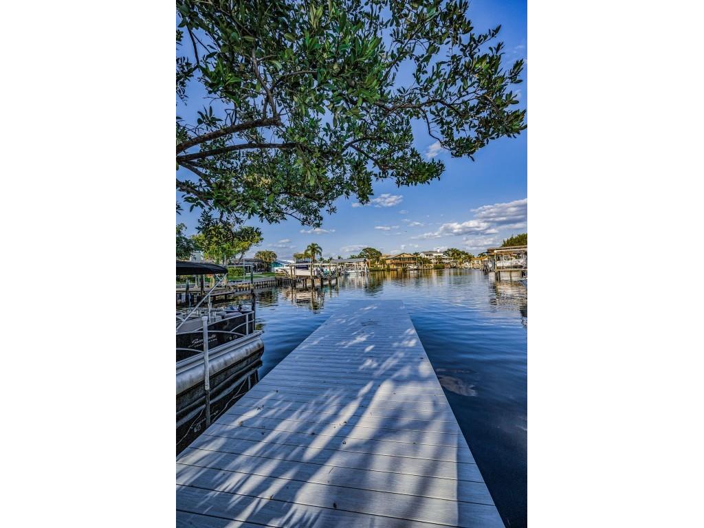 117 Carlyle Drive Palm Harbor FL 34683 TB8377220 image22