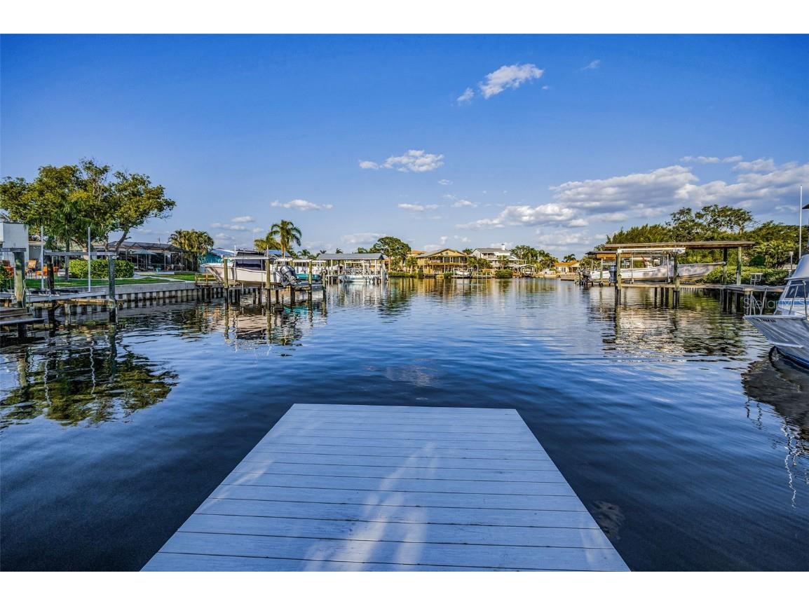 117 Carlyle Drive Palm Harbor FL 34683 TB8377220 image23