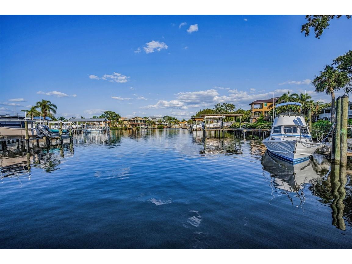 117 Carlyle Drive Palm Harbor FL 34683 TB8377220 image24