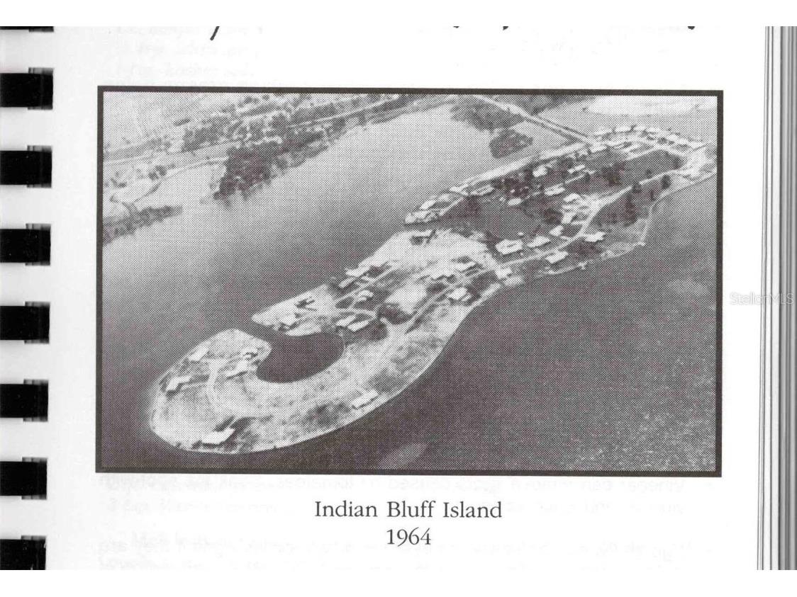 117 Carlyle Drive Palm Harbor FL 34683 TB8377220 image30