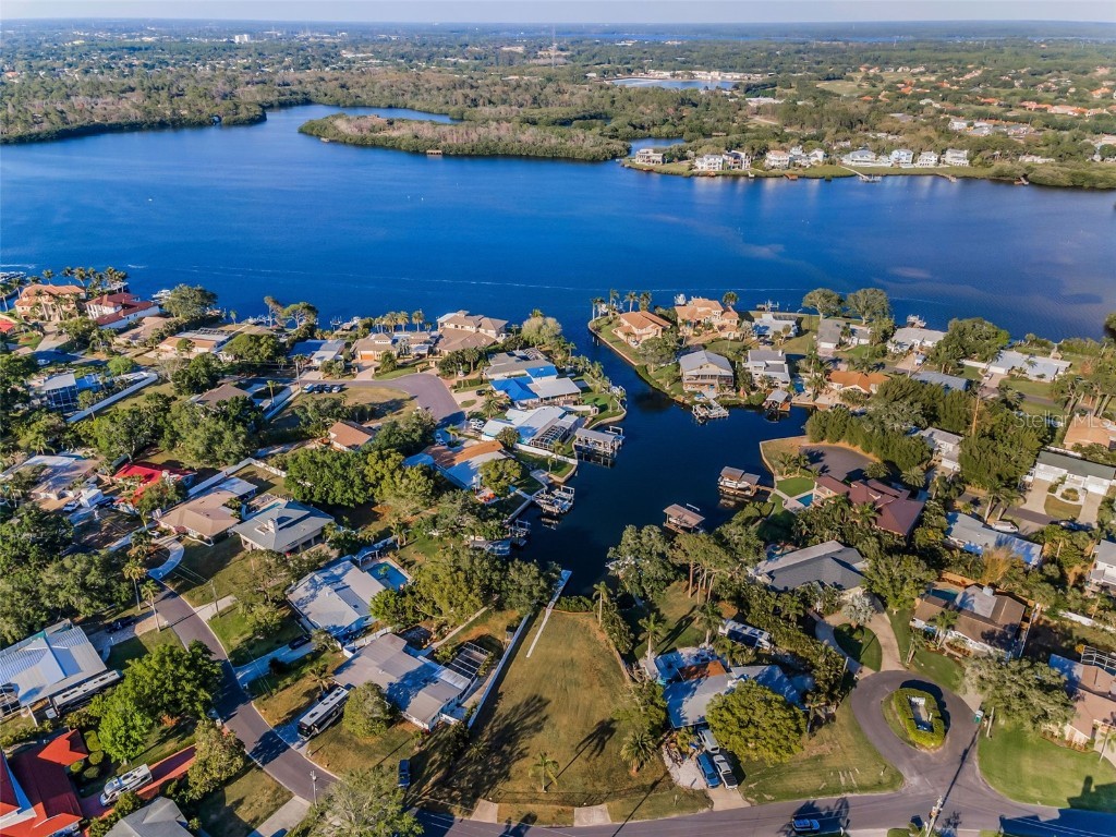 117 Carlyle Drive Palm Harbor FL 34683 TB8377220 image4