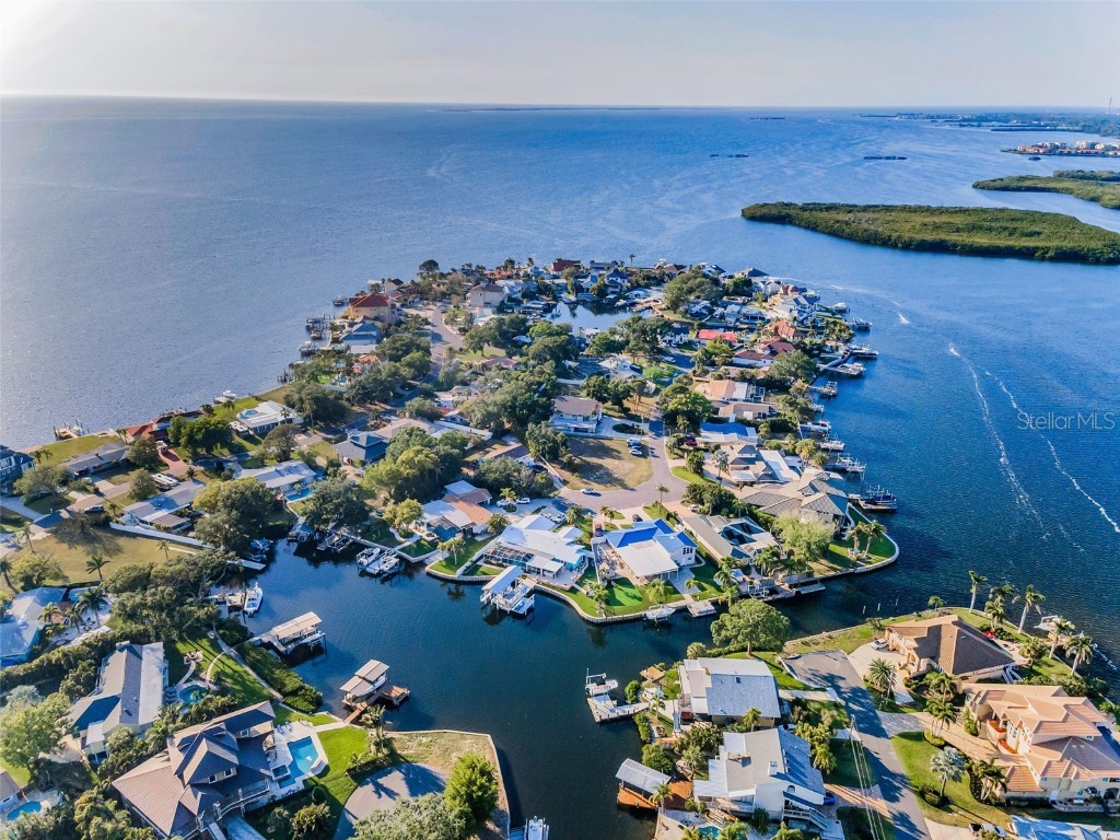 117 Carlyle Drive Palm Harbor FL 34683 TB8377220 image6