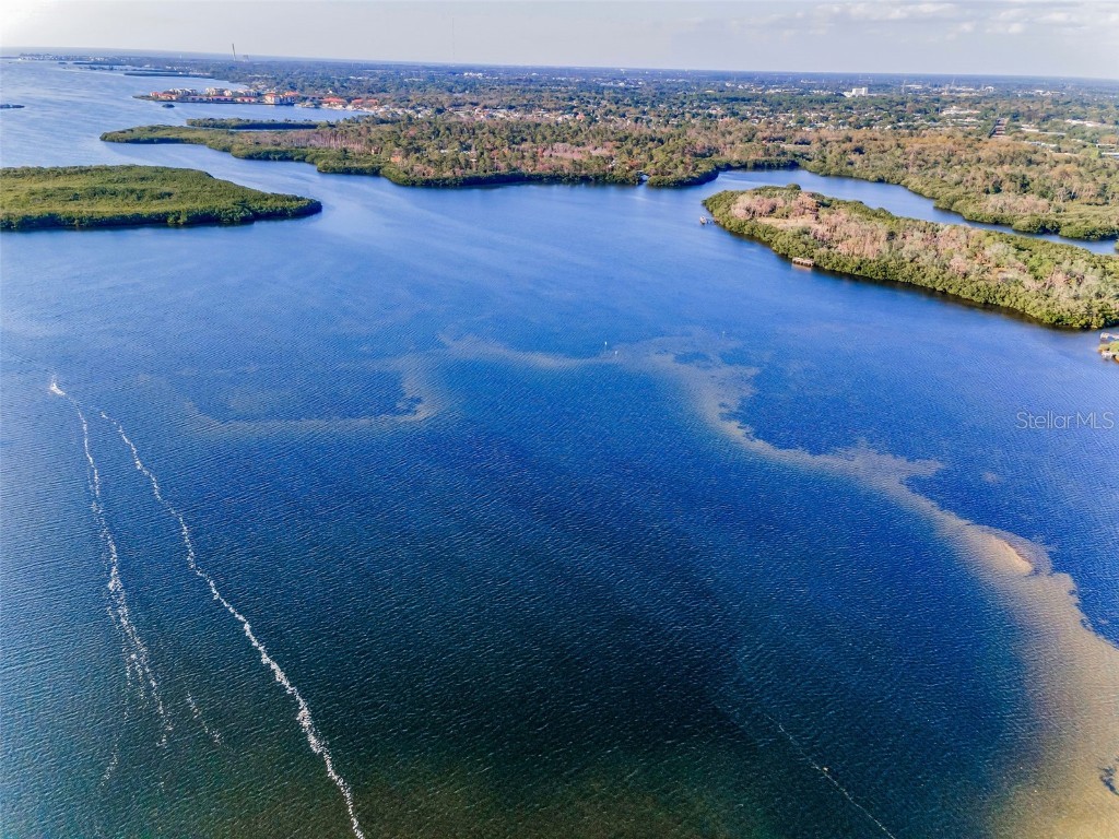 117 Carlyle Drive Palm Harbor FL 34683 TB8377220 image7