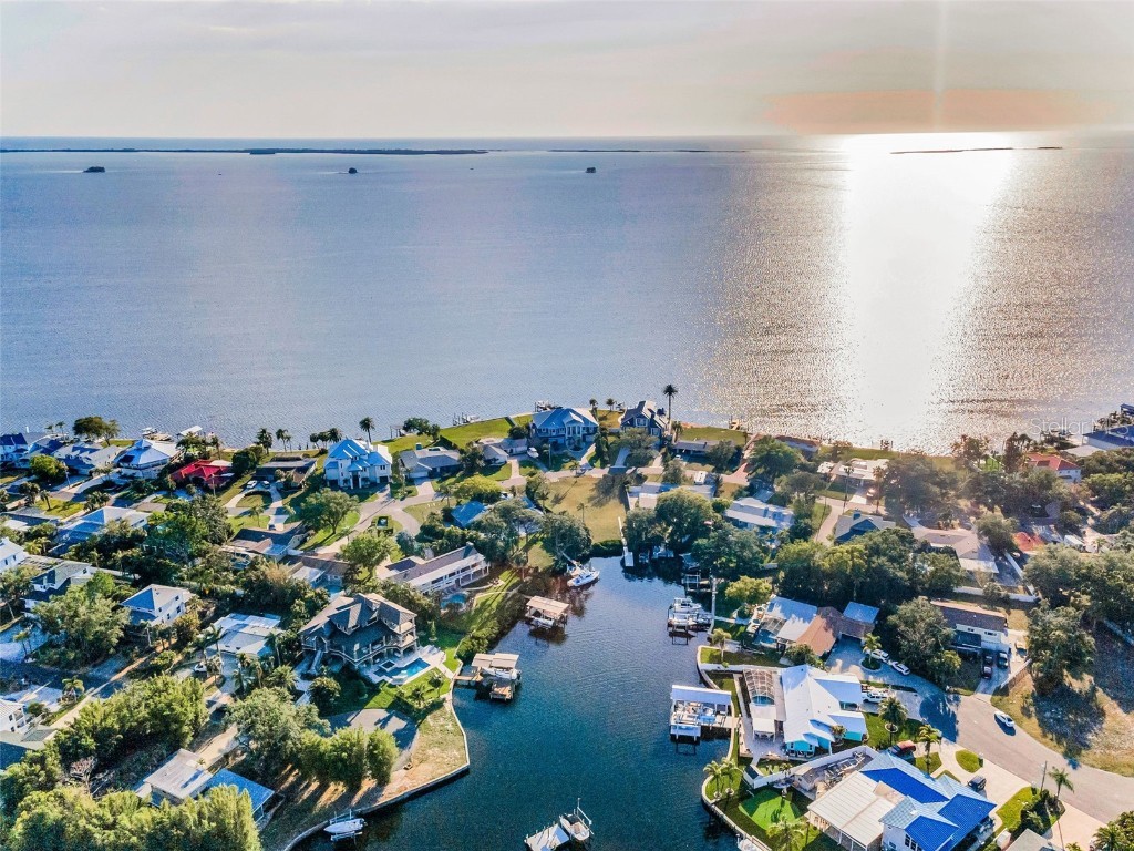 117 Carlyle Drive Palm Harbor FL 34683 TB8377220 image9