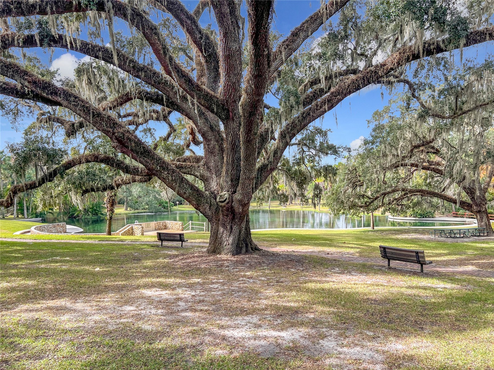 117 Crown Oaks Way #117 Longwood FL 32779 - WEKIVA SPRINGS/LITTLE WEKIVA O6356320 image50