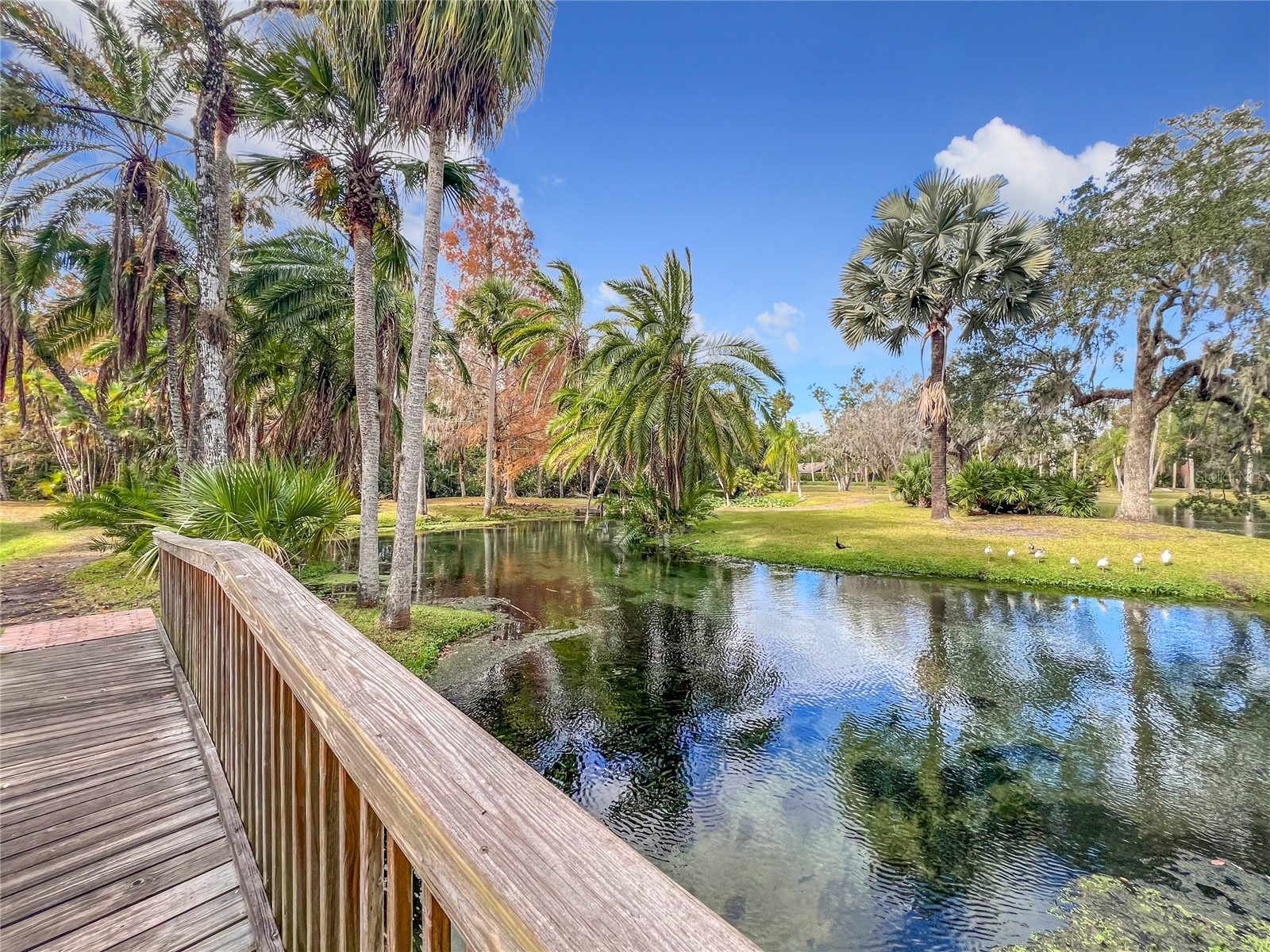 117 Crown Oaks Way #117 Longwood FL 32779 - WEKIVA SPRINGS/LITTLE WEKIVA O6356320 image52