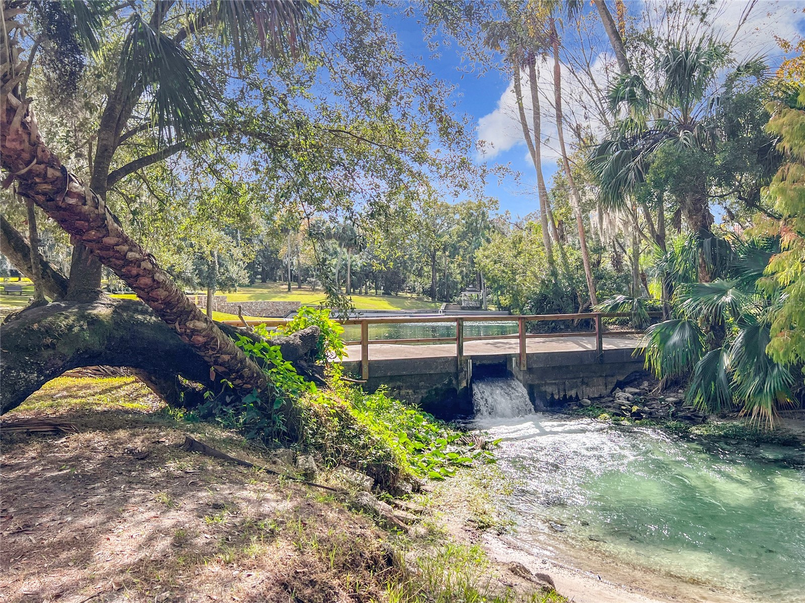 117 Crown Oaks Way #117 Longwood FL 32779 - WEKIVA SPRINGS/LITTLE WEKIVA O6356320 image56