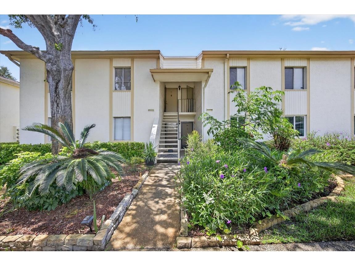 117 Cypress Court #117 Oldsmar FL 34677 TB8411288 image1