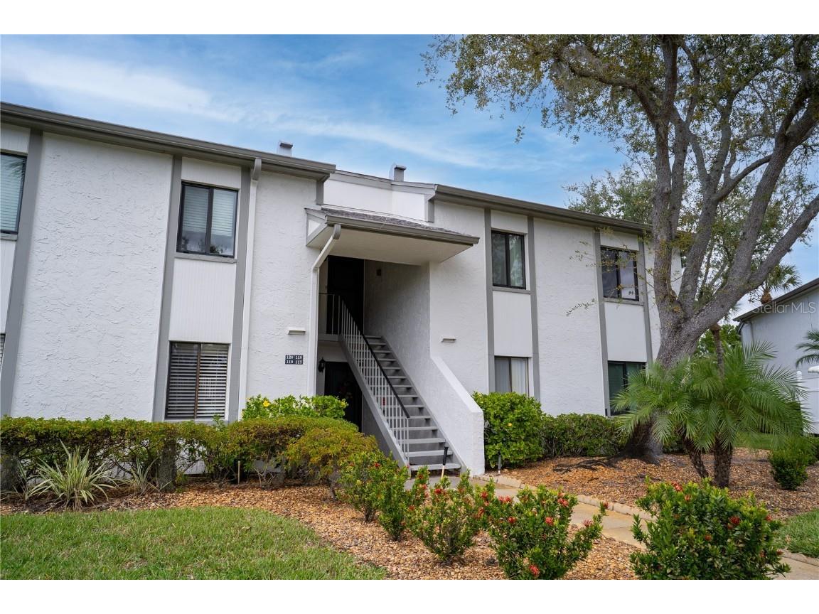 117 E Cypress Court #117 Oldsmar FL 34677 TB8443086 image1