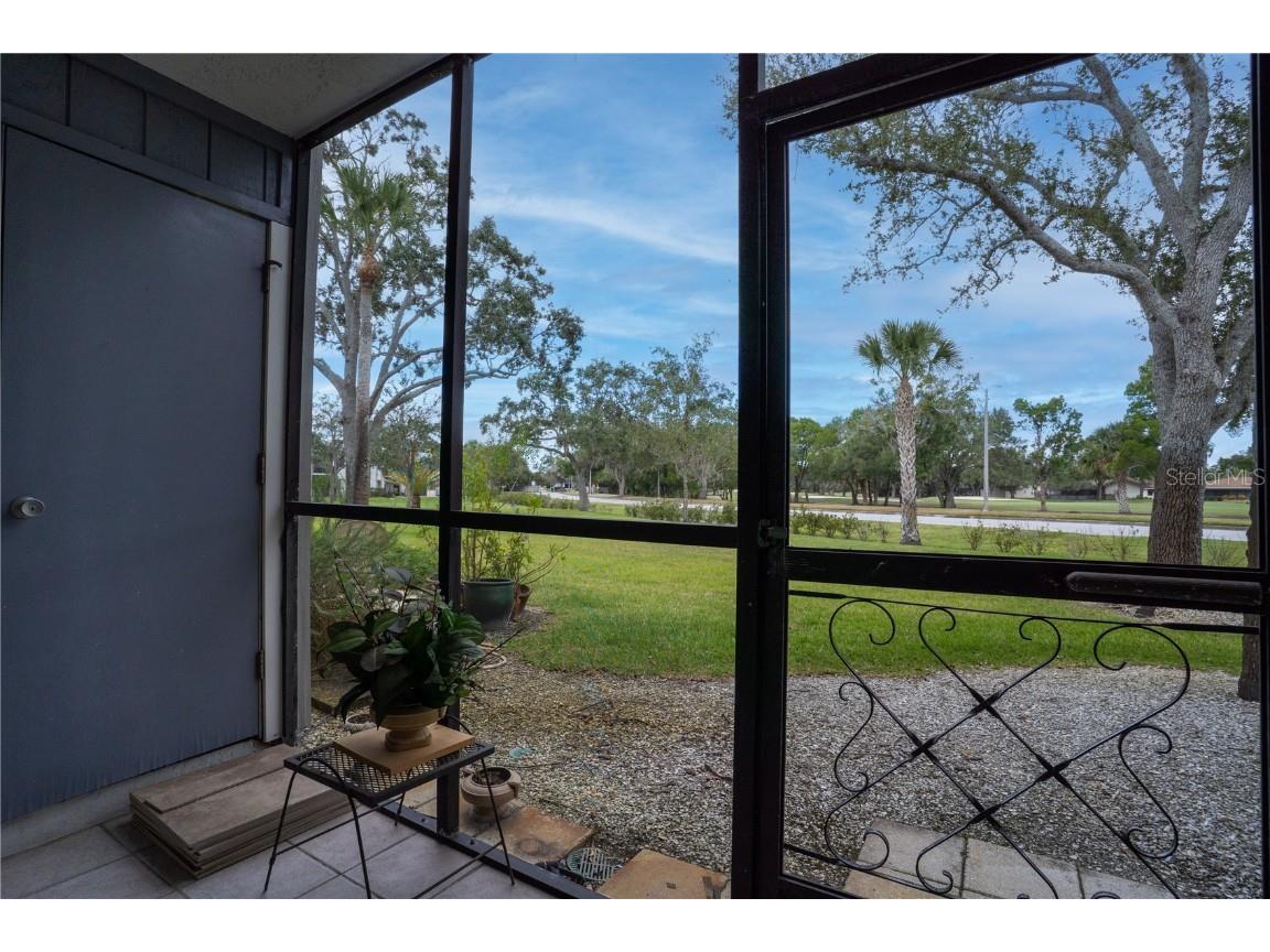 117 E Cypress Court #117 Oldsmar FL 34677 TB8443086 image18