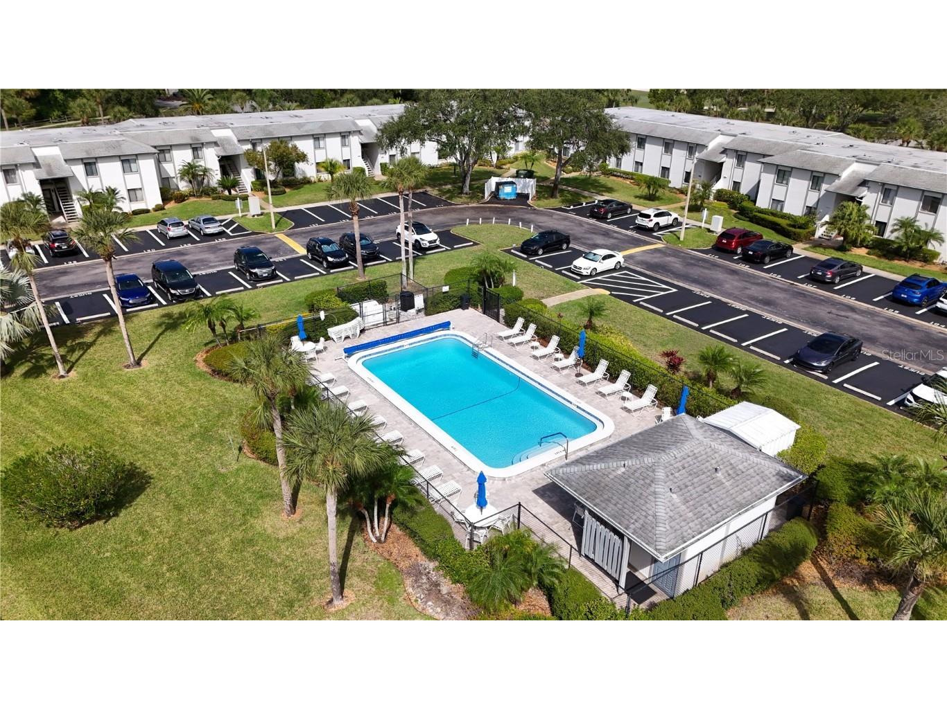 117 E Cypress Court #117 Oldsmar FL 34677 TB8443086 image20