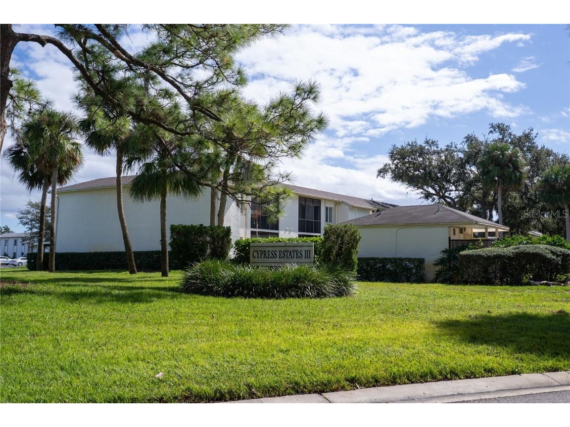 117 E Cypress Court #117 Oldsmar FL 34677 TB8443086 image22