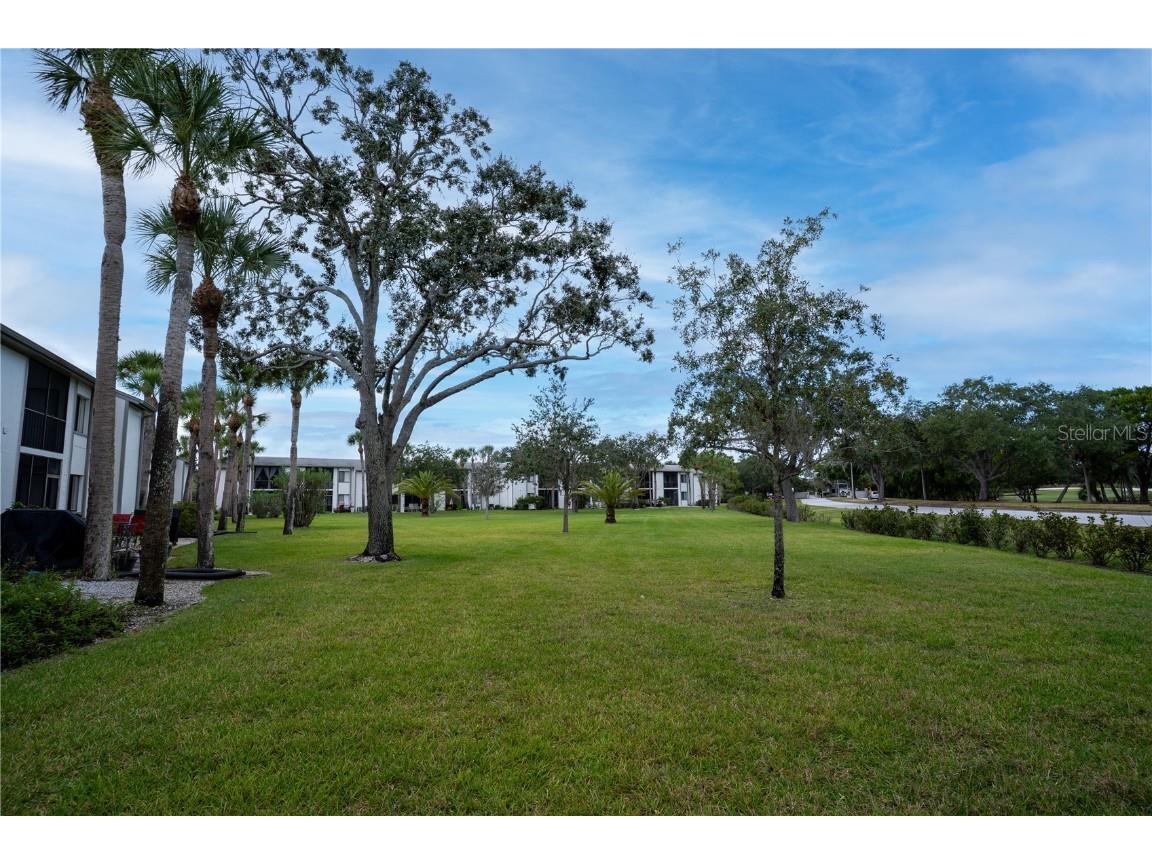 117 E Cypress Court #117 Oldsmar FL 34677 TB8443086 image23