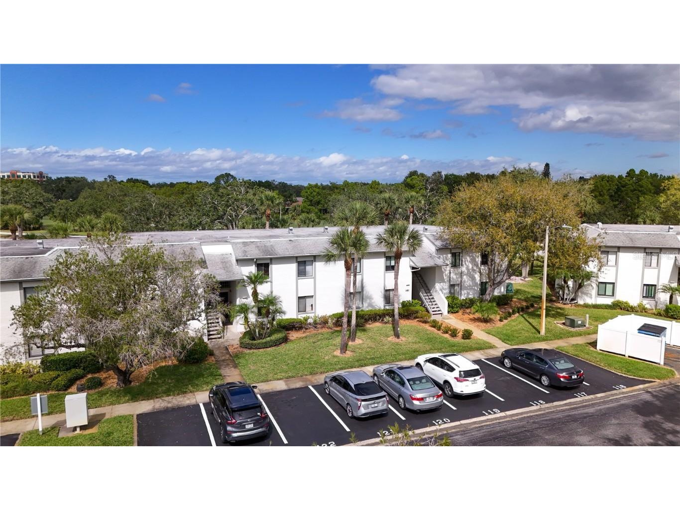 117 E Cypress Court #117 Oldsmar FL 34677 TB8443086 image24