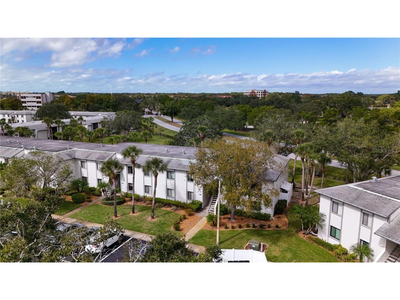 117 E Cypress Court #117 Oldsmar FL 34677 TB8443086 image25