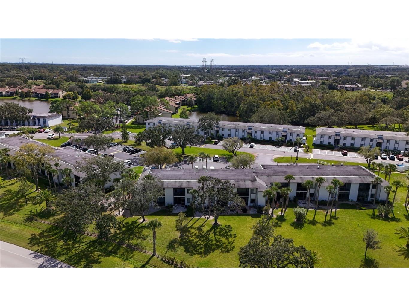 117 E Cypress Court #117 Oldsmar FL 34677 TB8443086 image27