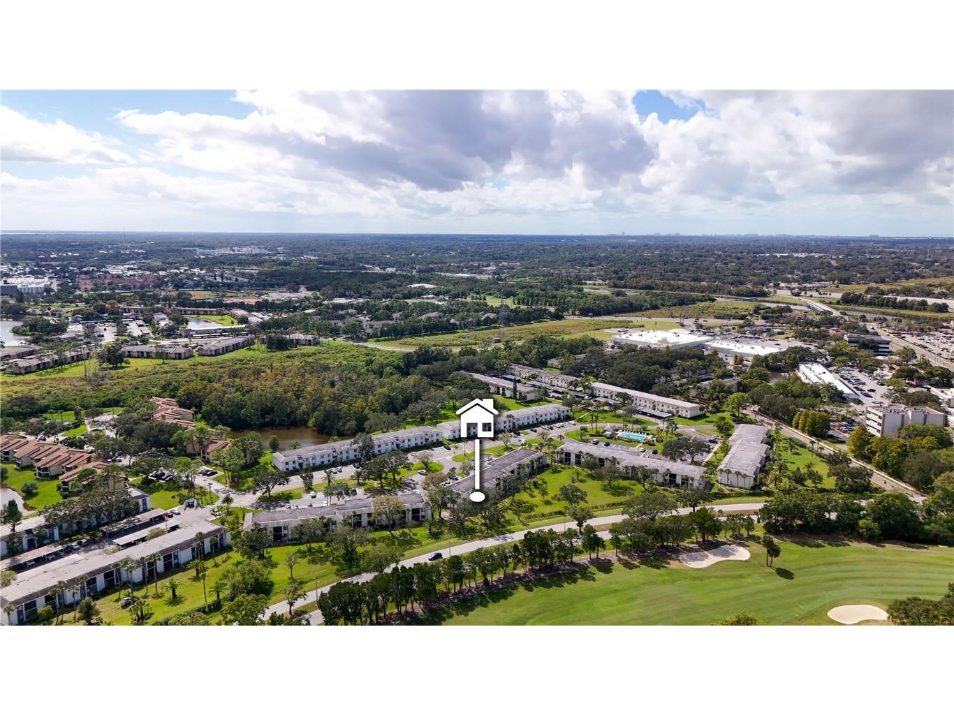 117 E Cypress Court #117 Oldsmar FL 34677 TB8443086 image28